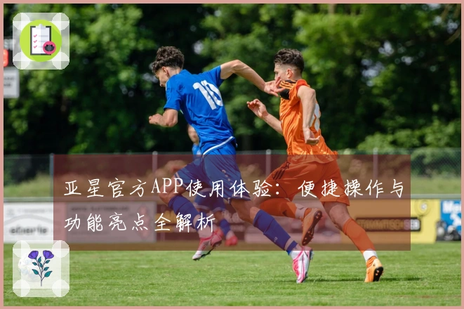 亚星官方APP使用体验：便捷操作与功能亮点全解析